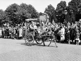 Åsnekärra på Barnens dag, juni1953