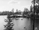Vy över Falkasjön, juni 1954
