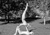 Gymnastisk övning, september 1951
