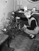 Kvinna tänder julgran, januari 1952
