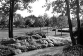 Skytteparken, 1930-tal