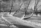 Hagaparken i snö 1930-tal