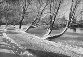 Hagaparken i snö 1930-tal