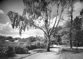 Stadsparken, 1940