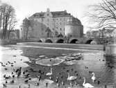Fåglar vid Örebro slott, 1930-tal