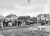 Kreatursmarknad i Odensbacken, 1908