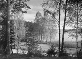Norra Lången från Sjövik, 1930-tal