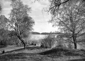 Sjön Lången från Björkbacken vid Långbyn, 1930-tal