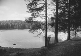 Stora Dammsjön, 1936