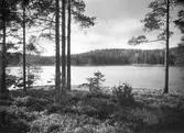 Stora dammsjön, 1930-tal