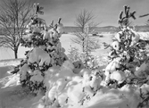 Vintervy från Vallby mot Kilsbergen, 1930-tal
