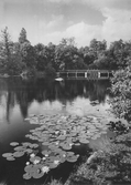 Dammen vid gropen, 1944