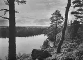 Trollkarlssjön i Kvistbro, 1930-tal