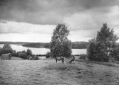 Sjön Multen, 1929