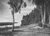 Djursnärsudden i Lännäs, 1930-tal