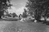 Domarringen på Vinön, 1930-tal
