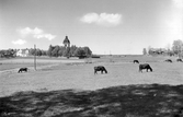 Vy mot Ringkarleby kyrka, 1930-tal