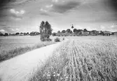Vy över åkrarna mot Stora Mellösa kyrka, 1930-tal
