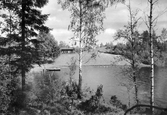 Björktjärn vid dammtorpet i Tysslinge, 1930-tal