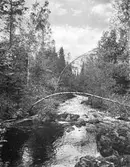 Garphyttebäcken i Tysslinge, 1930-tal