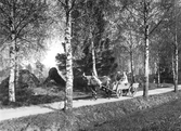 Par i oxdragen vagn i Täby, 1930-tal
