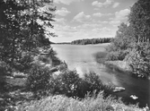 Sjön Väringen, 1930-tal