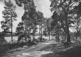 Södra delen av Väringen i Ödeby, 1935