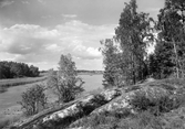 Vy över Lillsjön, 1935