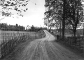 Väg mot Hjulsjö, 1929