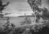 Sjön Tisaren mot Talludden, 1935