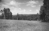 Björkberget i Ljusnarsberg 1930-tal