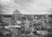 Vy från Skansberget vid Järle, 1943