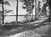 Sjön Testen vid sjöbaden, 1934