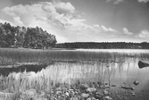 Hällebosjön mot Tjärudden, 1930-tal