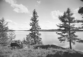 Östersjön från Hägerudden, 1944