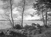 Sjön Sottern vid Käfsterud, 1943