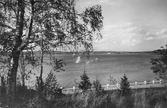 Sjön Vikern mot Gyttorp, 1935