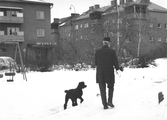 Man med hund, 1960-tal