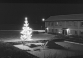 Julgran på gården, 1962