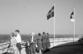 På Svampens terrass, 1959