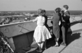 Sällskap på Svampens terrass, 1959