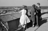 Sällskap på Svampens terrass, 1959