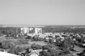 Utsikt från Svampen mot Hjälmaren, 1959