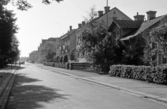 Hagagatan mot väster, 1950-tal