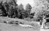 Stadsparken, 1954