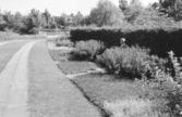 Stadsparken, 1954