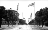 Unionsflaggorna är hissade längs den allékantade Eskilsgatan i samband med Lantbruks- och industriutställningen på Gamlebygärdet i Varberg år 1904.