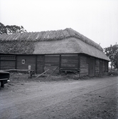 Ladugårdar med takryttare i Himmelsberga.