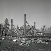 Karl Olsgården som flyttas. Huset ligger numera i Himmelsberga, Långlöts socken, men låg ursprungligen i Dyestad, Runstens socken.