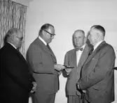 Hyllning av 25-30-åringar, efter 1955